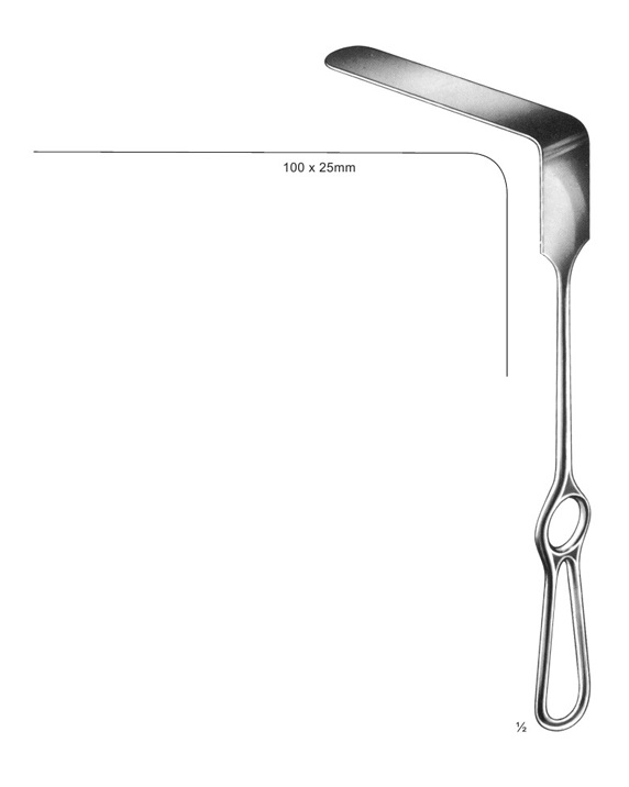 <span>Brunner</span>