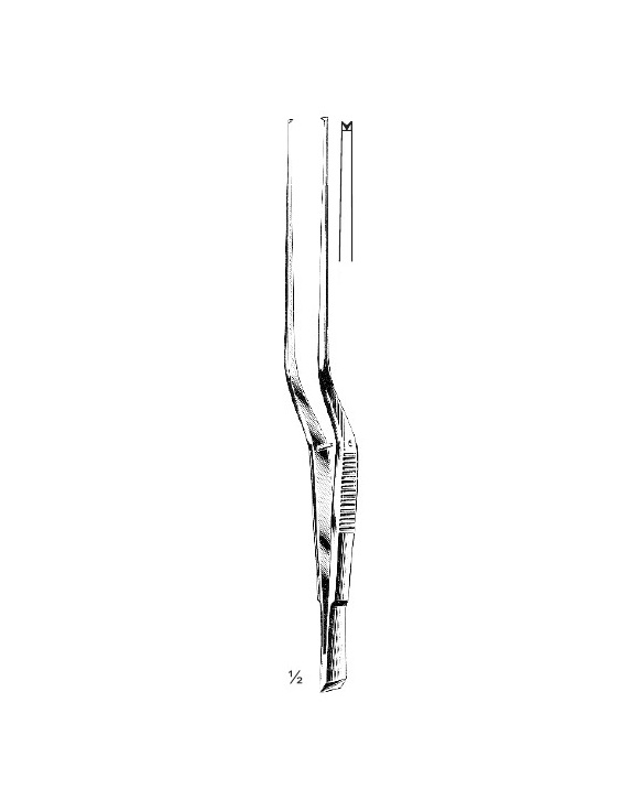 <span>Taylor 1:2</span>