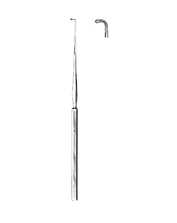<span>Lucae</span>