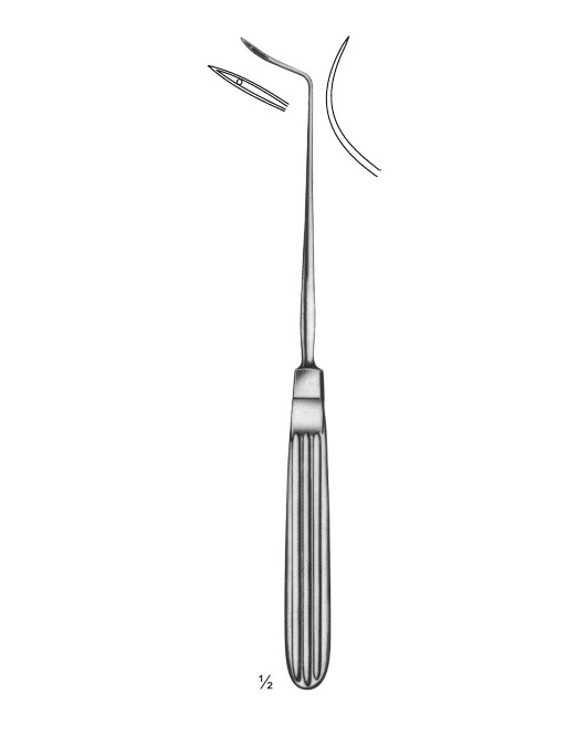 <span>Alexander</span>