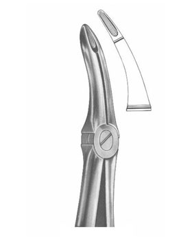 <span>Upper Roots</span>