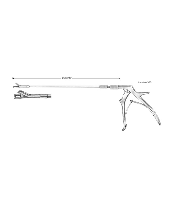 <span>Tischler-Morgan</span>