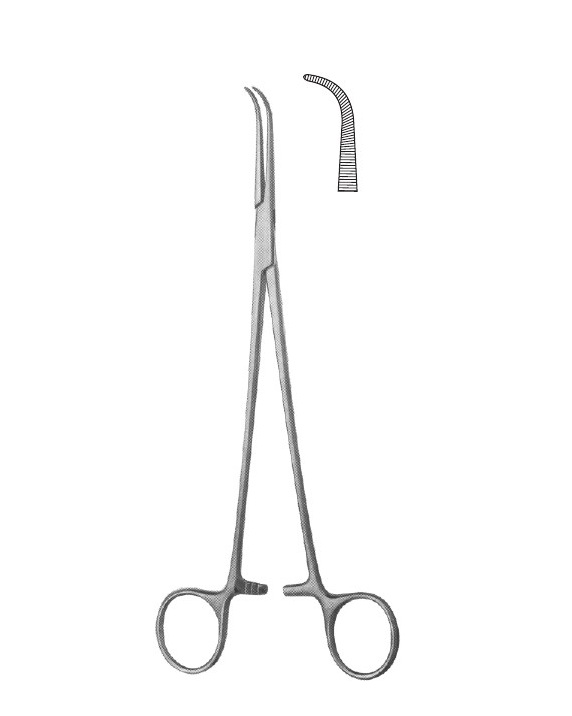 <span>Gemini (DeBakey-Mixter)</span>