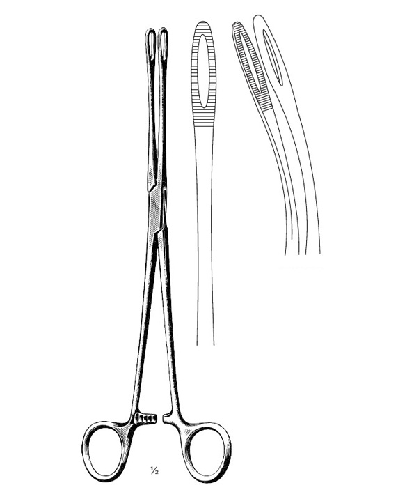 <span>Foerster</span>