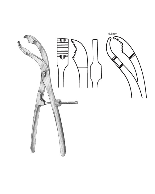 <span>Setter</span>