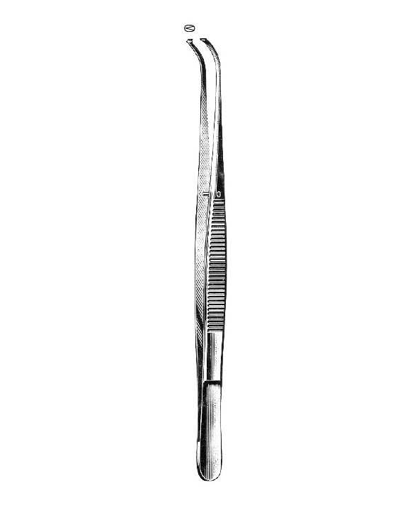 <span>Potts-Smith</span>