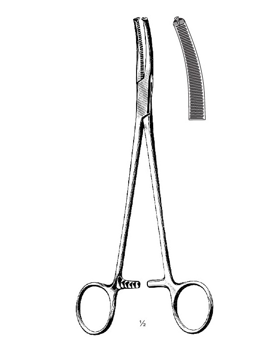 <span>Wertheim</span>