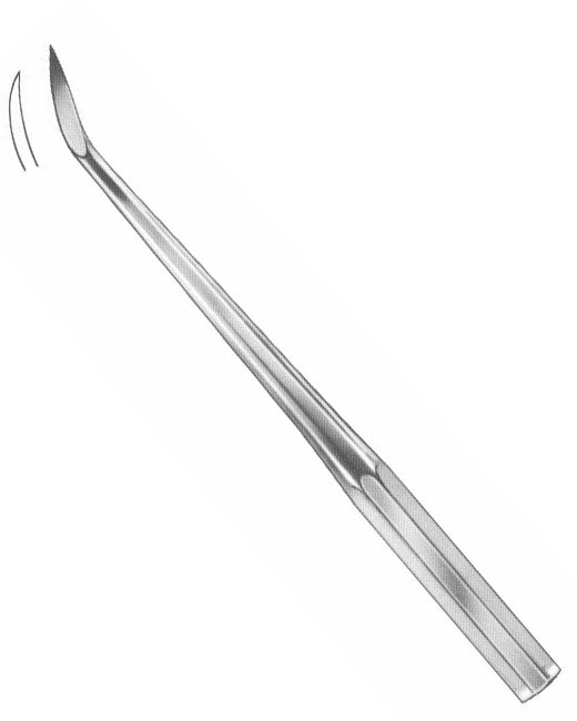 <span>Barry</span>