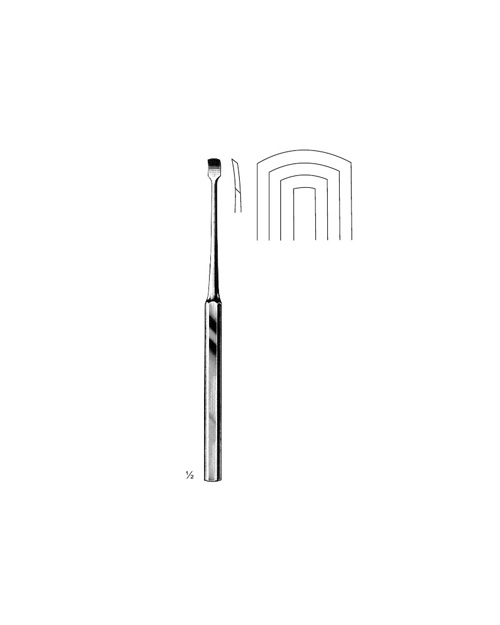 <span>Key</span>