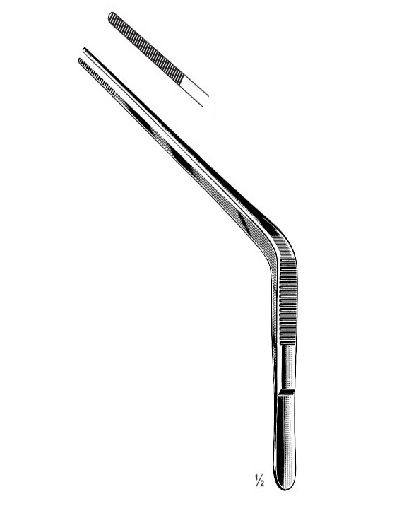 <span>Troeltsch</span>