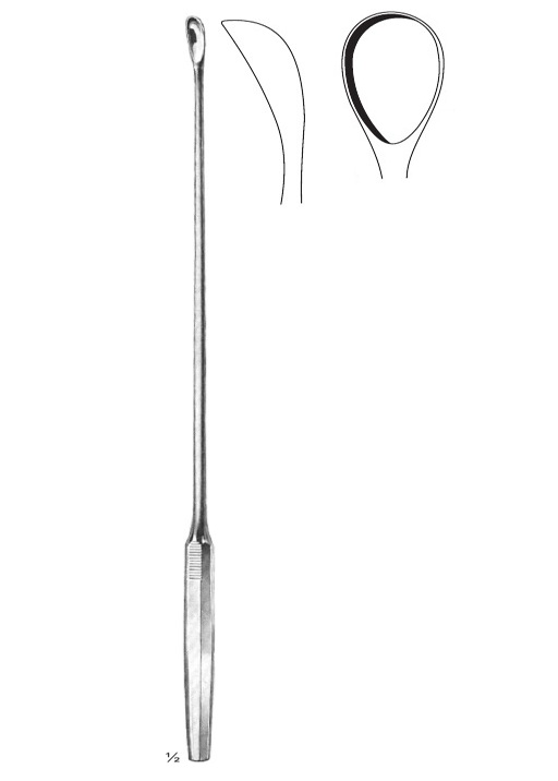 <span>Luer-Koerte</span>