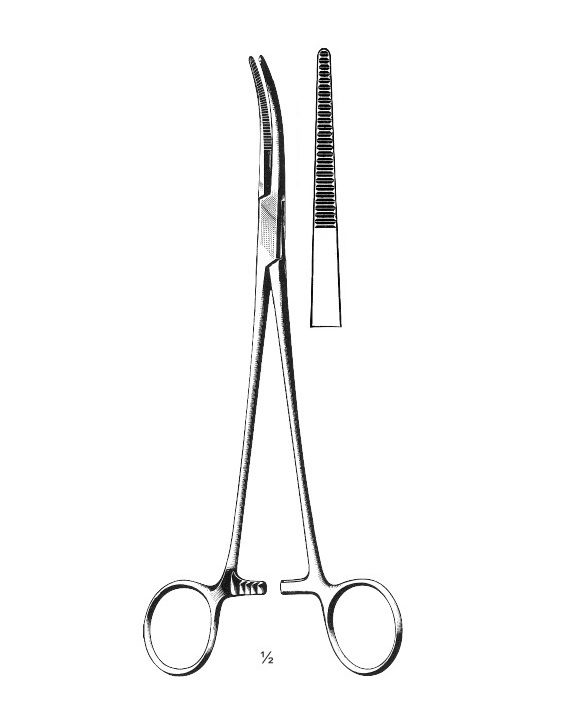 <span>Toennis</span>