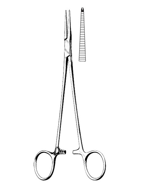<span>Halsted-Mosquito</span>