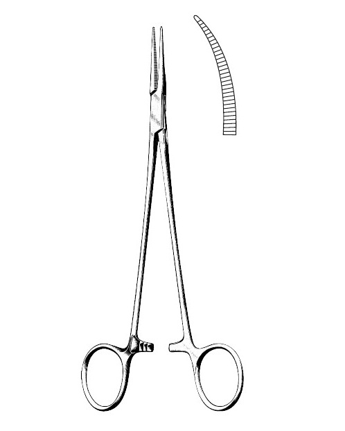 <span>Halsted-Mosquito</span>