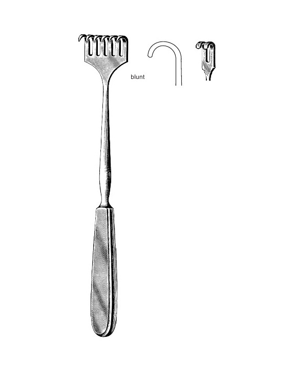 <span>Volkmann</span>