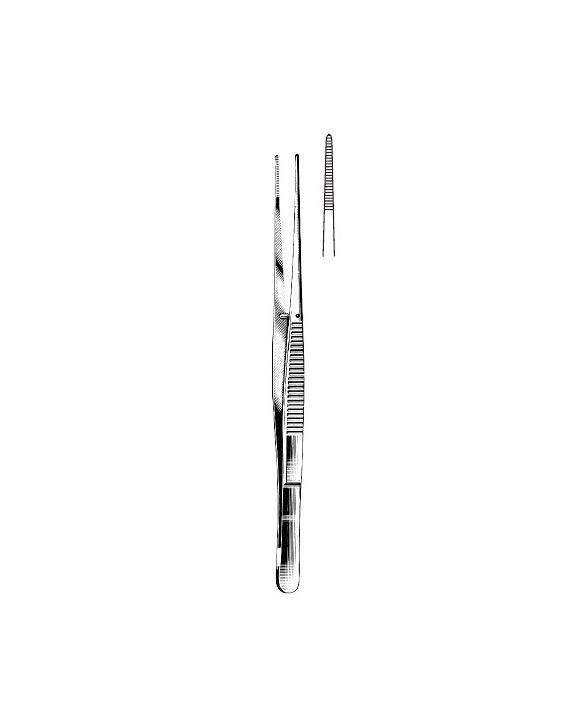 <span>Semken</span>