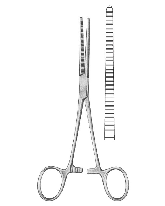 <span>Rochester-Péan</span>