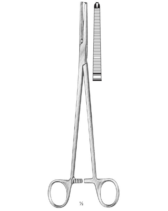 <span>Holzbach</span>