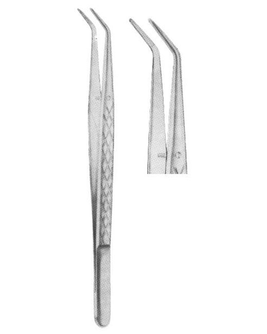 <span>College Serrated</span>