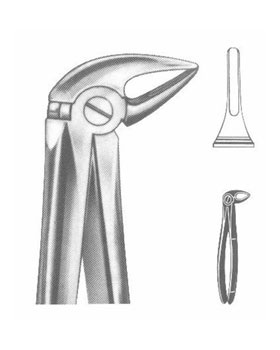 <span>Lower Molars</span>