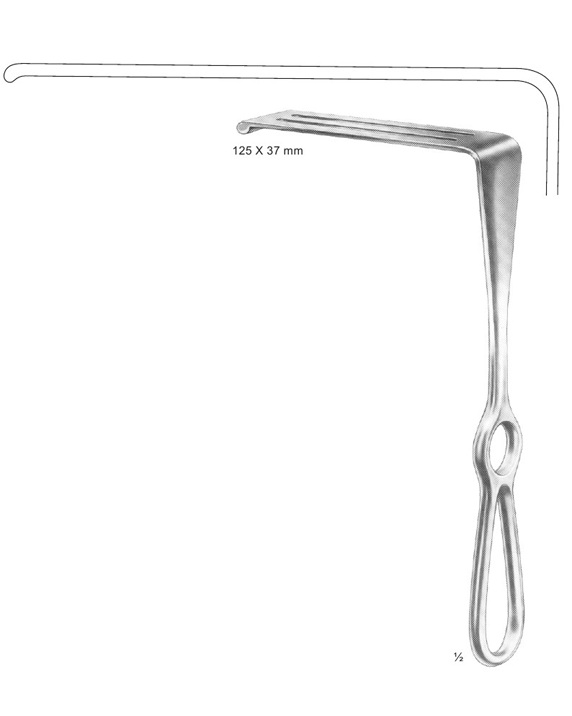 <span>Sauerbruch</span>