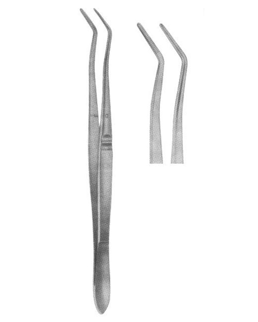<span>Meriam Serrated</span>