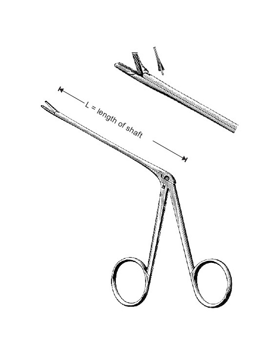 <span>Hartmann</span>