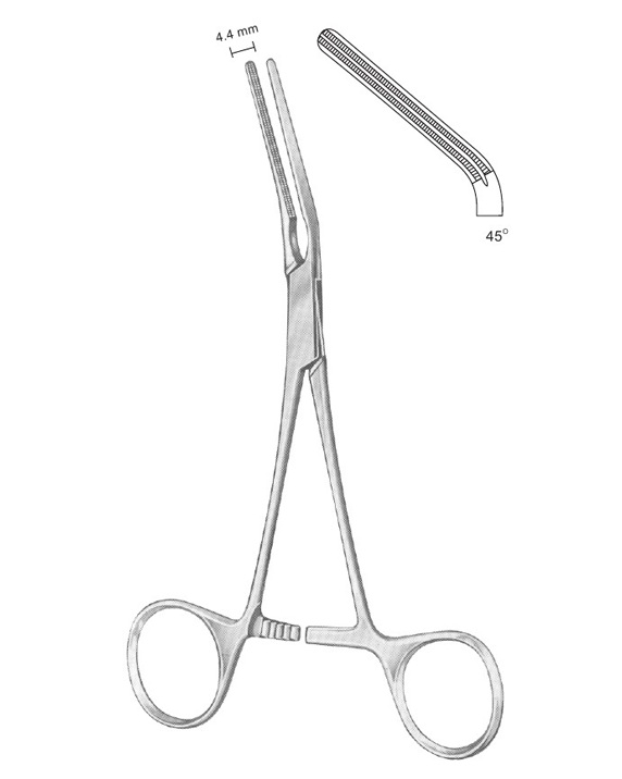 <span>Dardik</span>