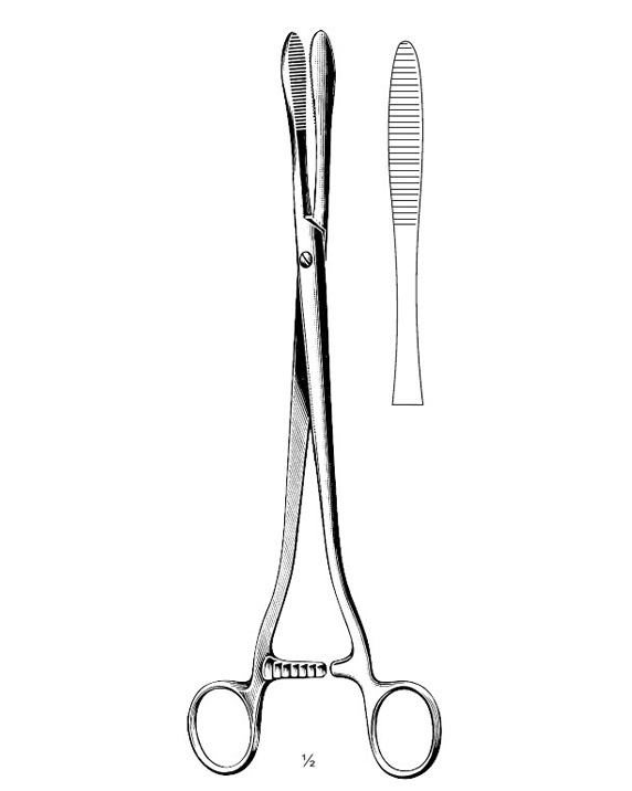 <span>Collin</span>