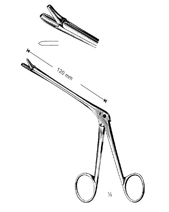 <span>Hajek</span>