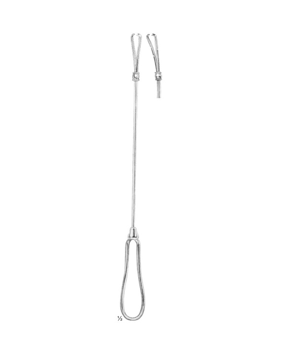 <span>Sims</span>