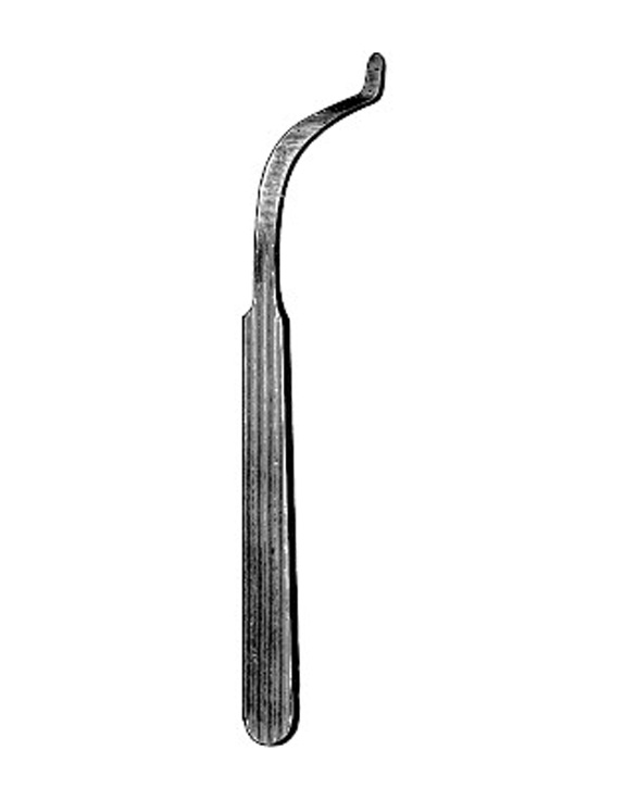 <span>Stacke</span>