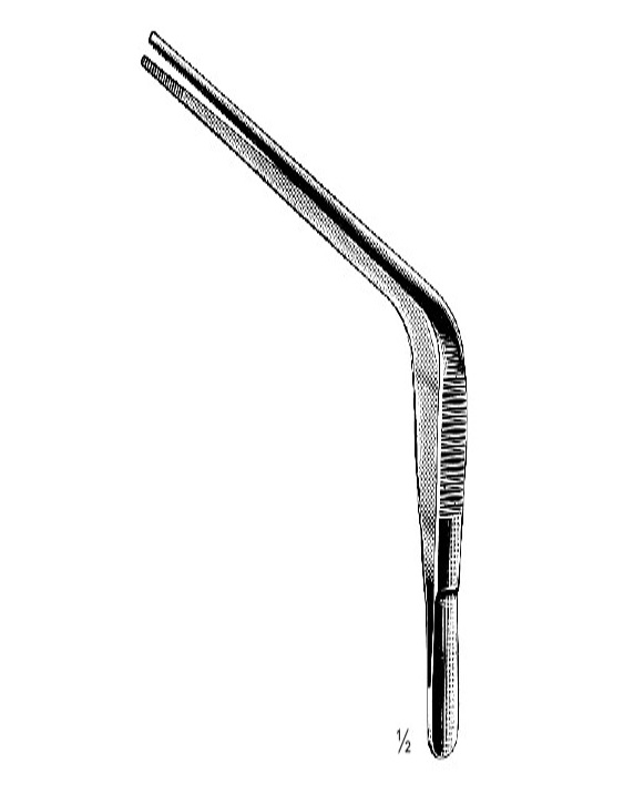 <span>Troeltsch</span>
