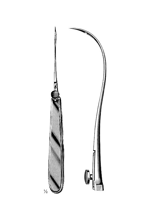<span>Reverdin</span>