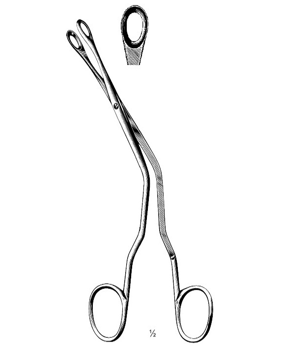 <span>Luc</span>