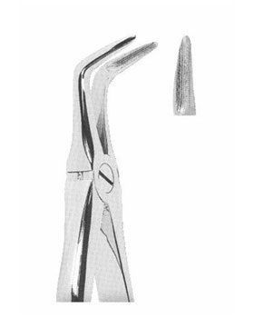<span>Lower Roots</span>