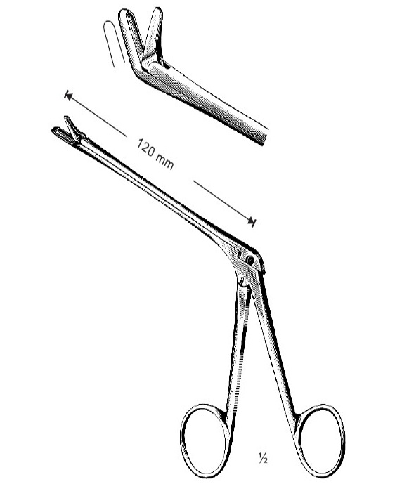 <span>Hajek</span>