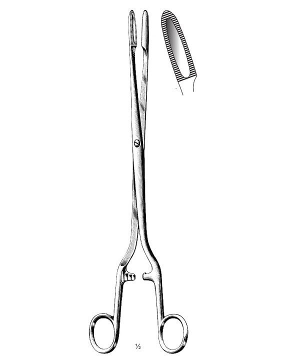 <span>Sims-Maier</span>