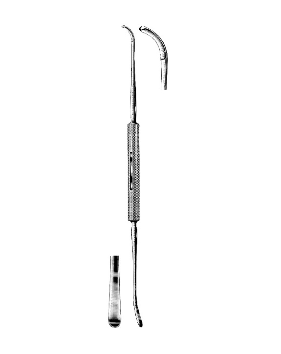 <span>Milette</span>