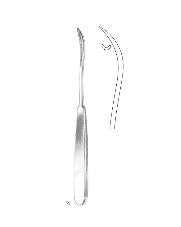 <span>Konig</span>