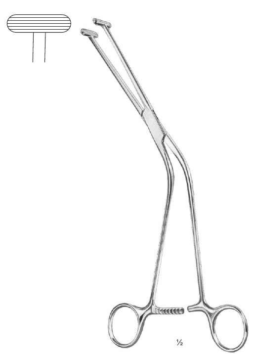 <span>Millin</span>