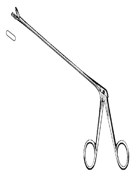<span>Mathieu</span>