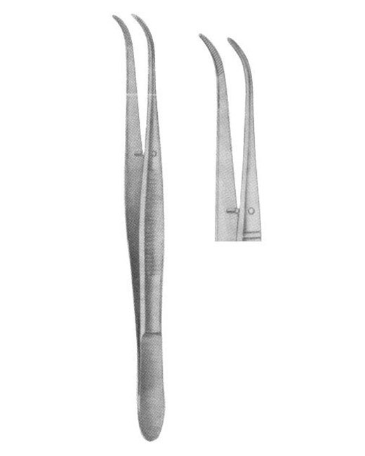 <span>Meriam Serrated</span>