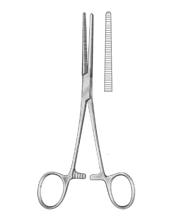 <span>Rochester-Péan</span>