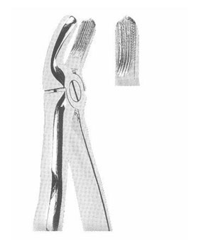 <span>Upper Molars Left </span>