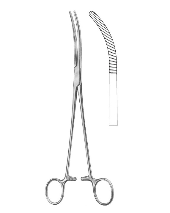 <span>Rumel</span>