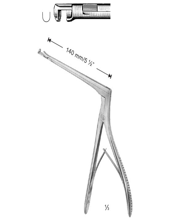 <span>Hajek</span>