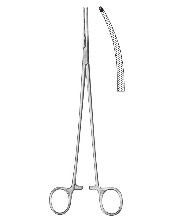 <span>Bengolea</span>