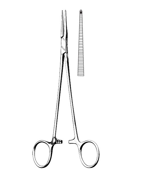 <span>Halsted-Mosquito</span>