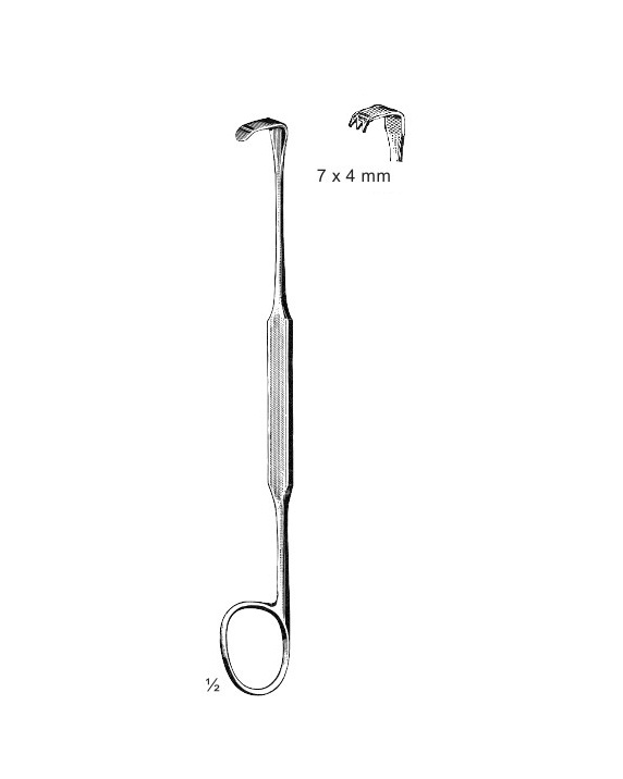 <span>Meyerding</span>